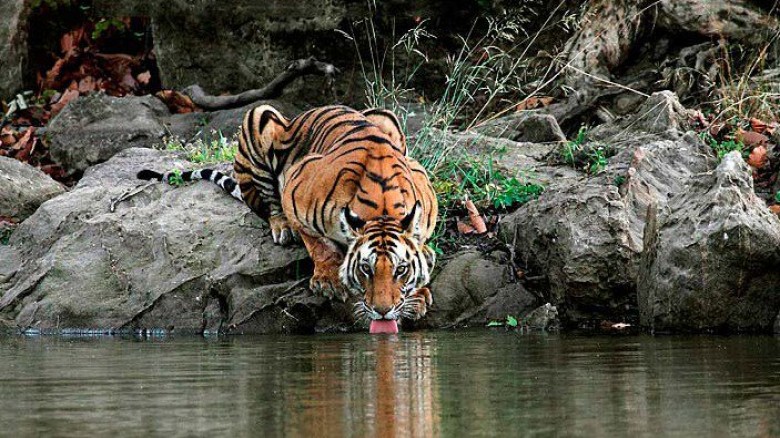 সুন্দরবনে ৮০০ মিটার নিচে মিলল মিঠাপানির 